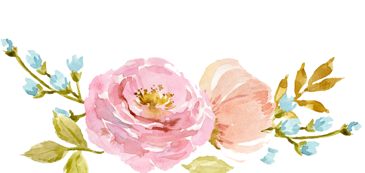 Transparent Blush Pink Flowers Png - Rwanda 24