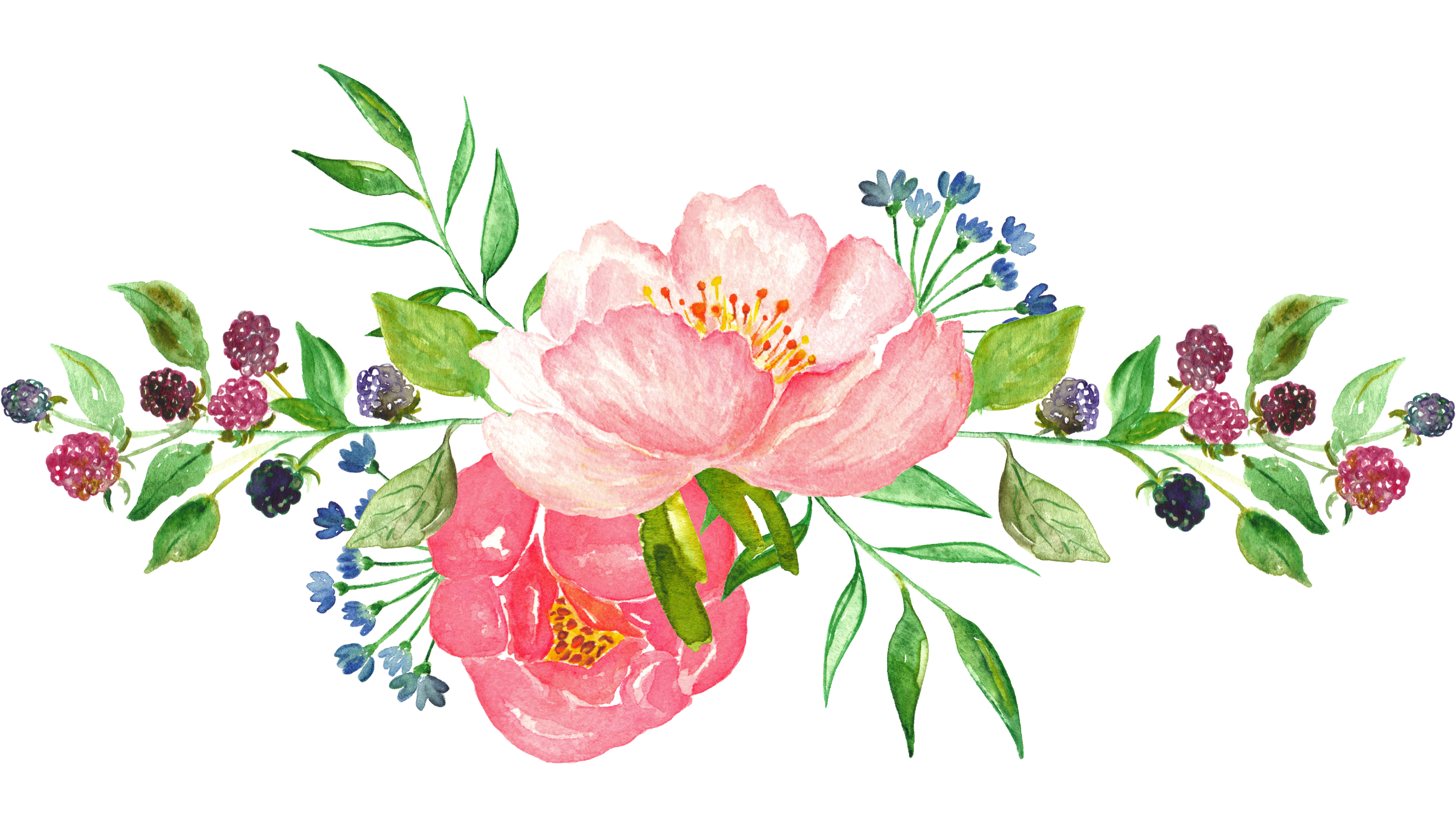 Download Watercolor Flowers Transparent at PaintingValley.com ...