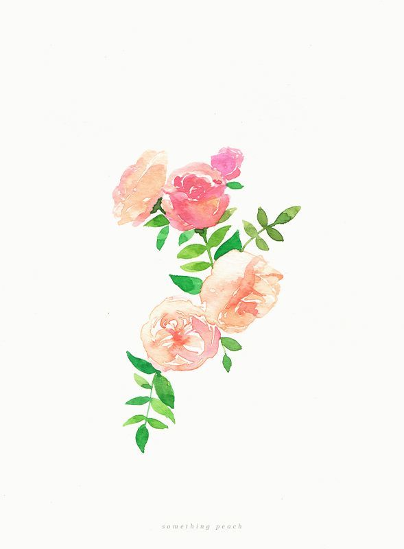 589x800 Watercolor Flowers Deepcoveflowers Tumblr Watercolor Flower - Watercolor Flowers Tumblr
