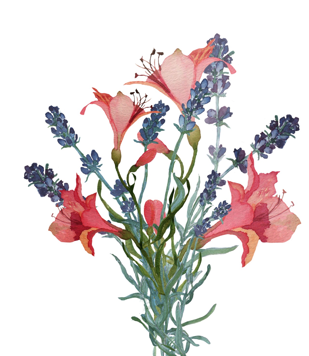1280x1474 Watercolor Flowers Tumblr - Watercolor Flowers Tumblr