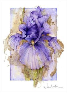 236x327 Watercolor Watercolor - Watercolor Flowers Tumblr