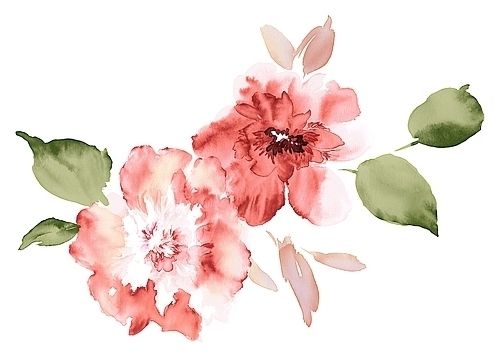 500x353 Flower Tumblr Drawings - Watercolor Flowers Tumblr