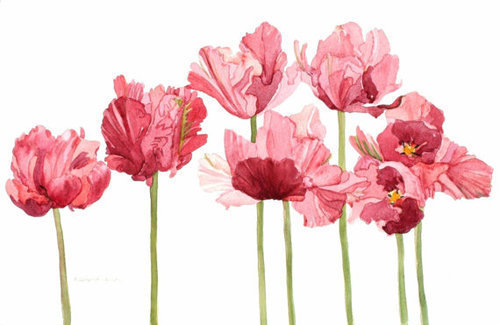 500x325 Flowers Via Tumblr Shared By Alejandro Marin - Watercolor Flowers Tumblr