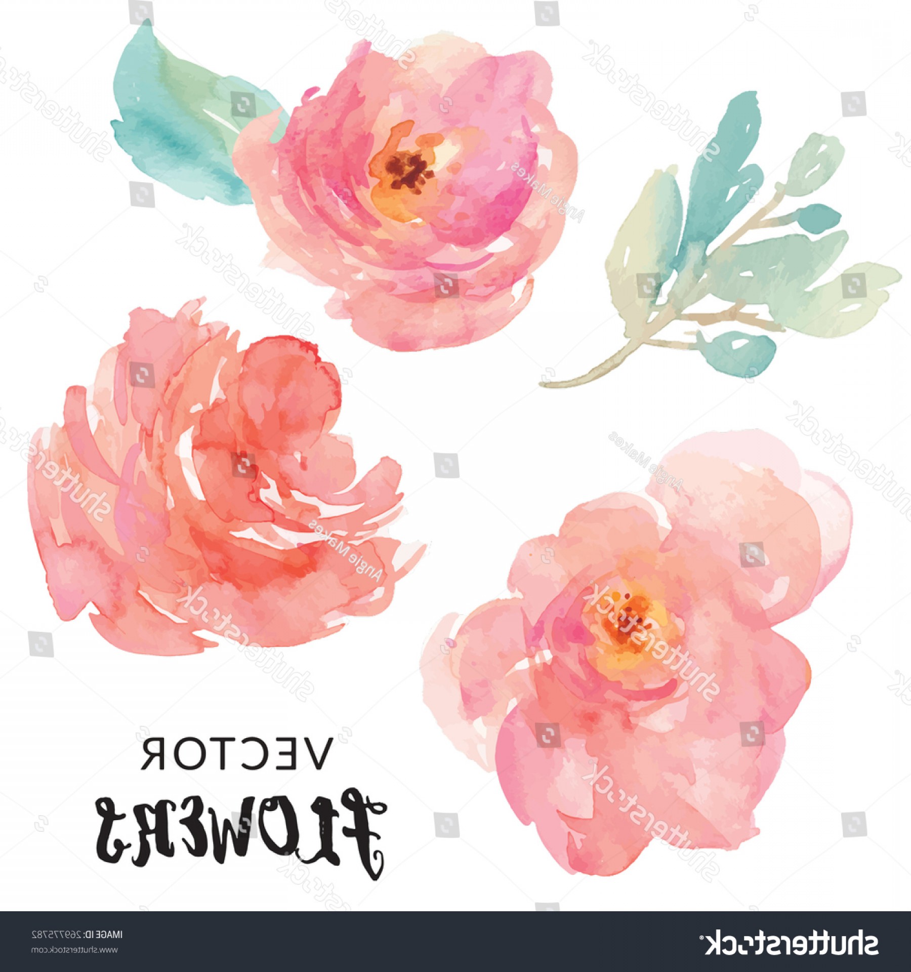 1800x1920 Hand Painted Watercolor Flower Vector Lazttweet - Watercolor Flowers Vector
