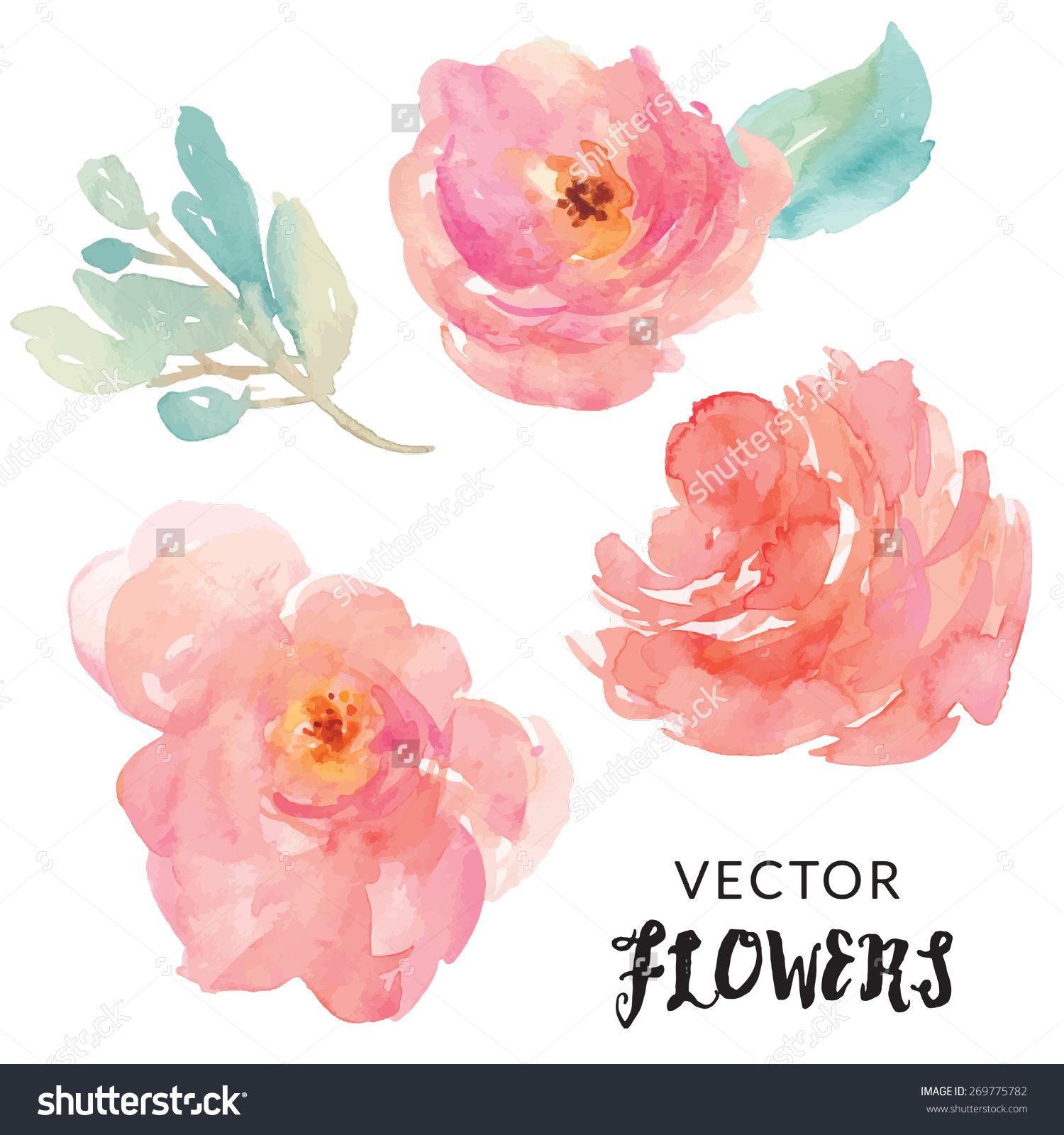 1500x1600 Hand Painted Watercolor Flower Vector. Watercolor Vector Flowers - Watercolor Flowers Vector