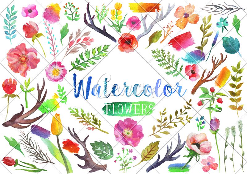 800x564 Vector Watercolor Aquarelle Flowers - Watercolor Flowers Vector