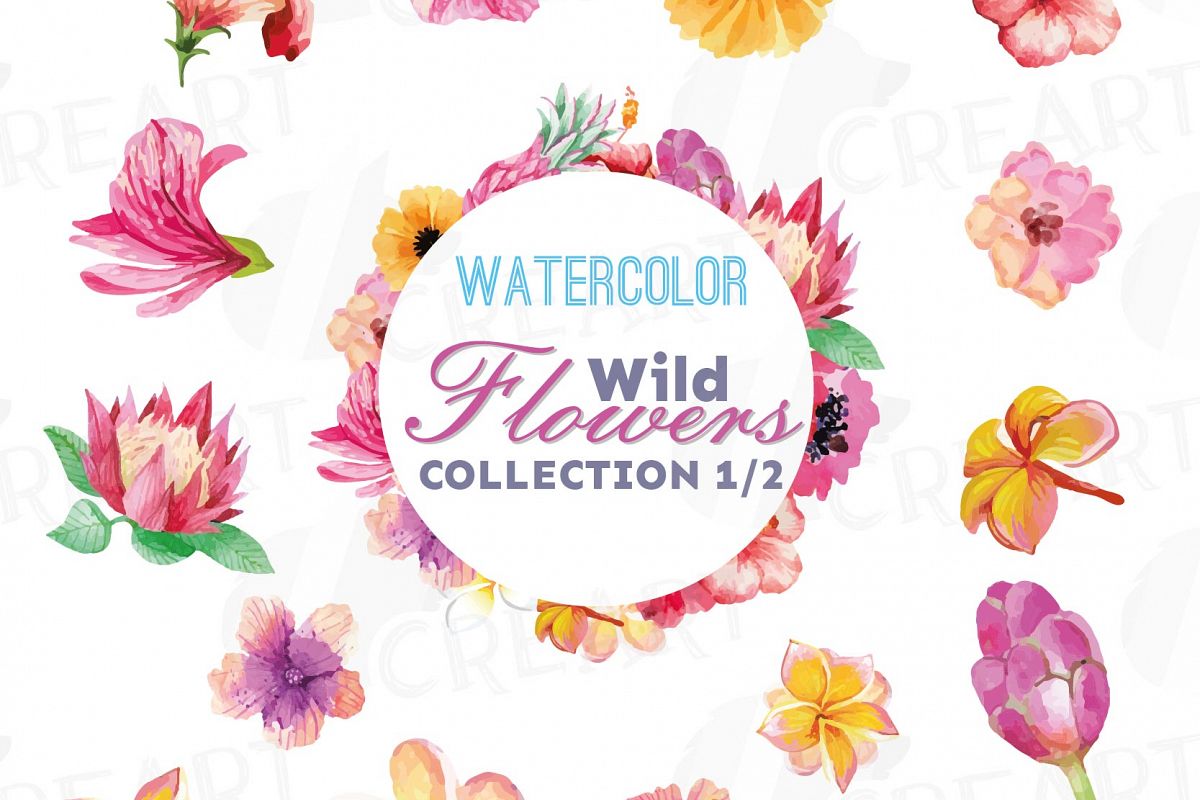 1200x800 Watercolor Wild Flowers Clip Art Pack, Exotic Watercolor Flowers - Watercolor Flowers Vector