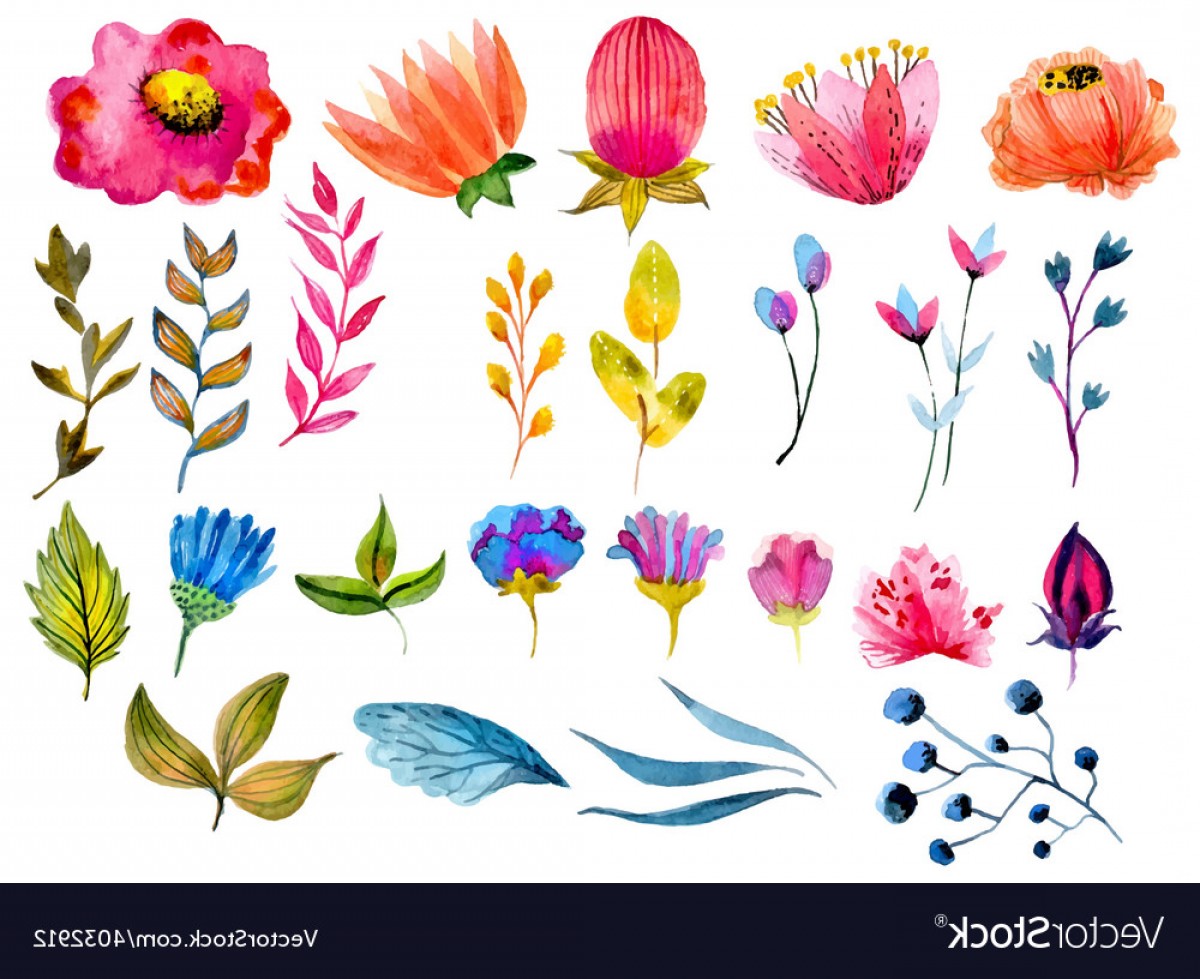 1200x979 Beautiful Watercolor Flower Set Vector Lazttweet - Watercolor Flowers Vector