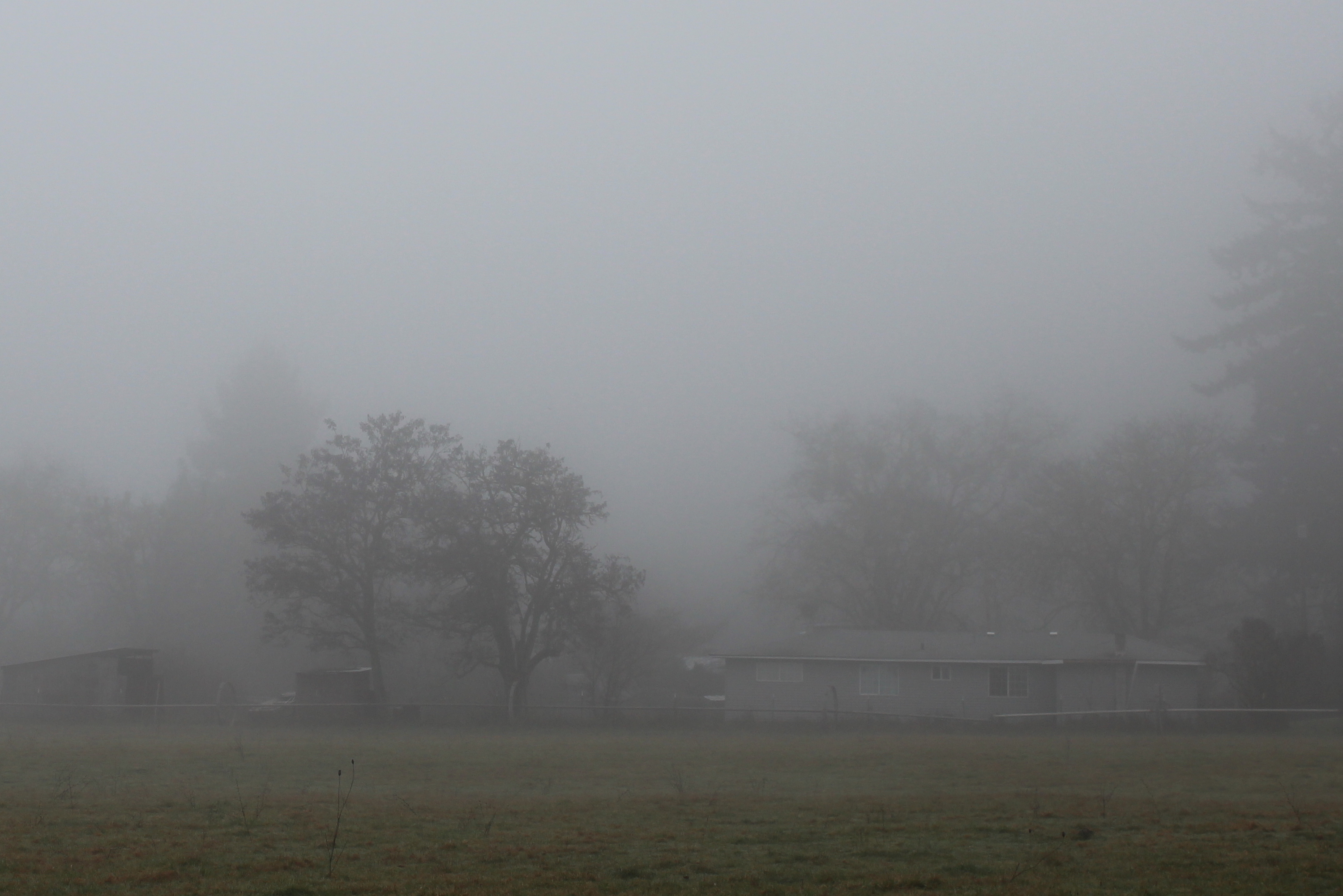 3000x2003 Foggy Morning Landscape - Watercolor Fog