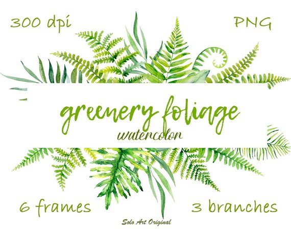 570x452 Greenery Leafy Clipart Set Watercolor Foliage Wildflowers Etsy - Watercolor Foliage