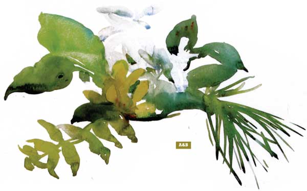 600x374 How To Paint A Watercolor Floral Still Life Step By Step Artist - Watercolor Foliage