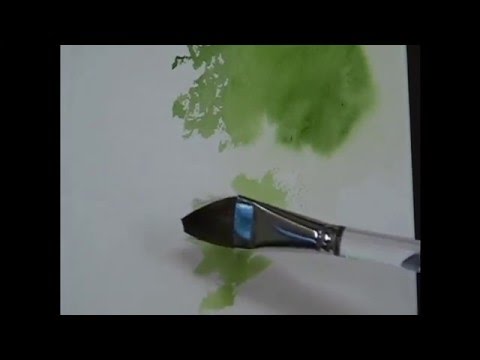 480x360 Quick Tip 40 - Watercolor Foliage