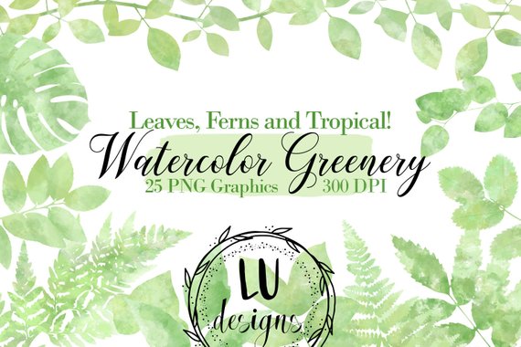 570x380 Watercolor Greenery Clipart Watercolor Foliage Green Leaves Etsy - Watercolor Foliage