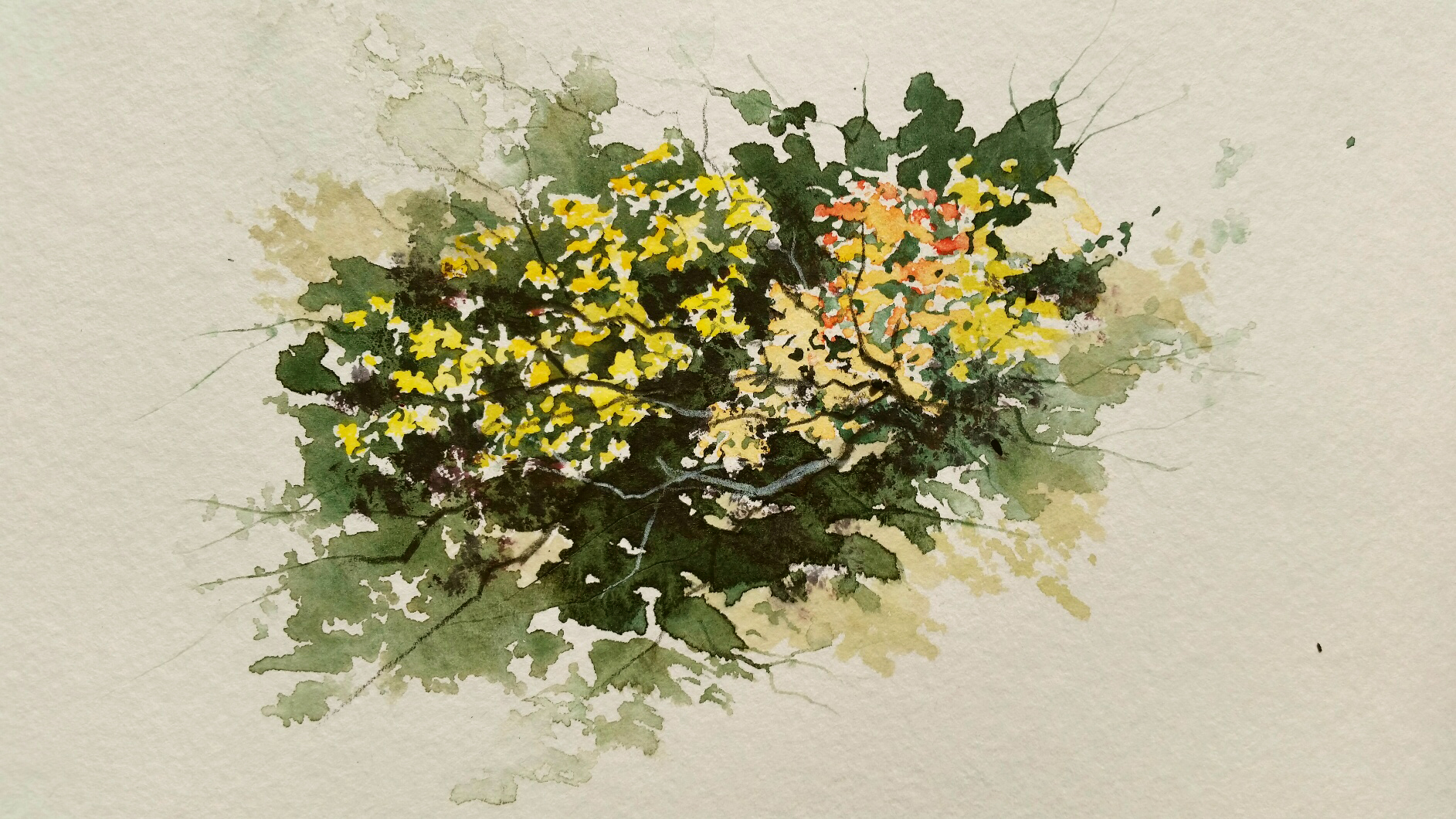 1885x1060 Fall Foliage Recollections 54 The Art Of David Tripp - Watercolor Foliage