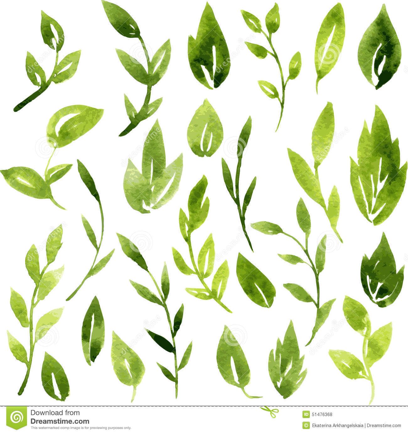 1300x1384 Watercolor Foliage - Watercolor Foliage