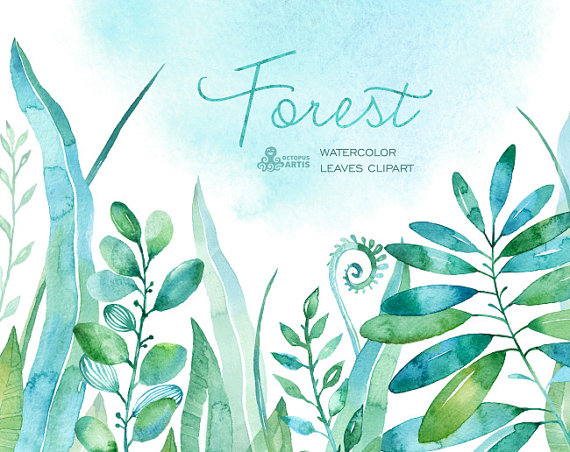 570x452 Forest Watercolor Leaves. 18 Handpainted Clipart, Foliage, Grass - Watercolor Foliage