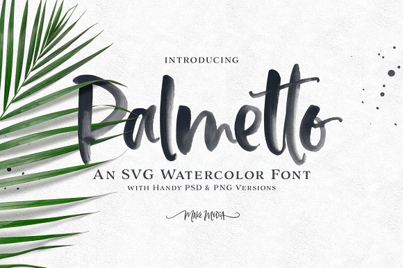 580x386 Palmetto Svg Font - Watercolor Font
