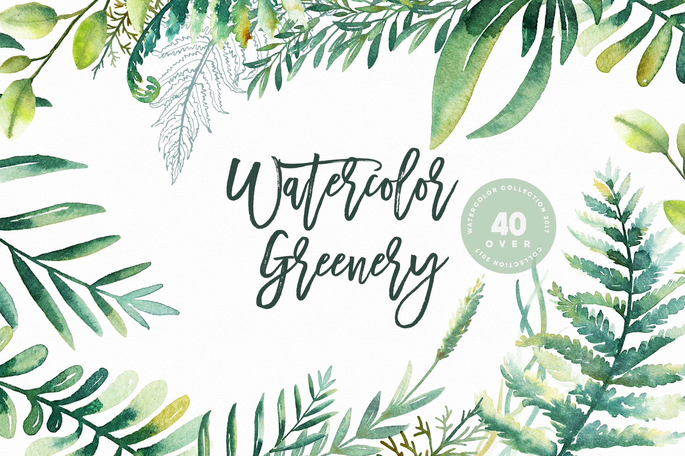 2320x1544 Watercolor Greenery - Watercolor Font