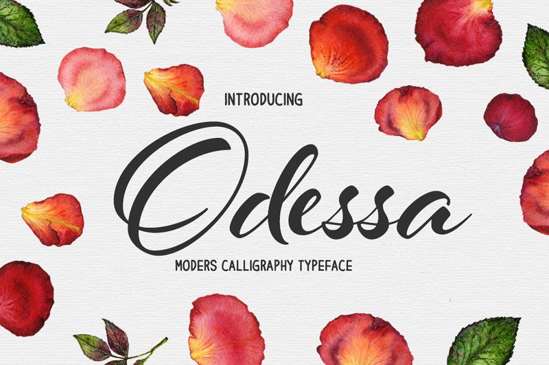 800x532 Modern Calligraphy Script Font Download Digital Font Etsy - Watercolor Font Download