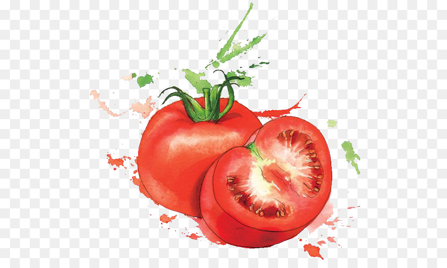 900x540 Watercolor Painting Food Art Illustration - Watercolor Food Art