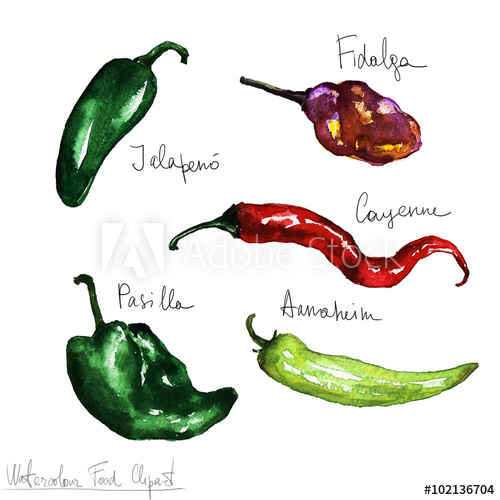 500x500 Watercolor Food Clipart - Watercolor Food Illustrations