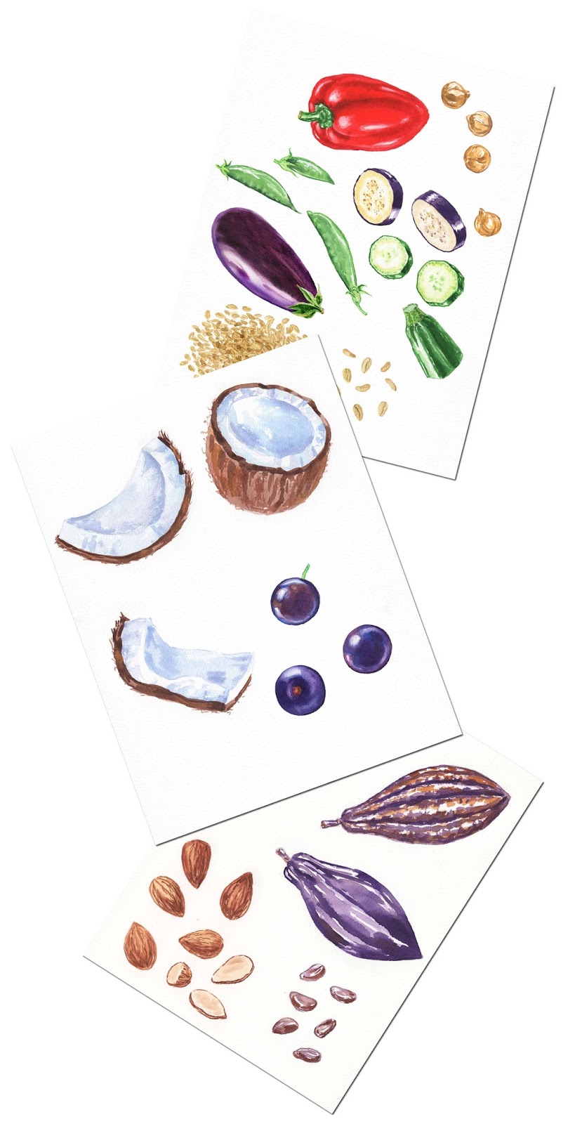 819x1600 Watercolor Illustrations - Watercolor Food Illustrations