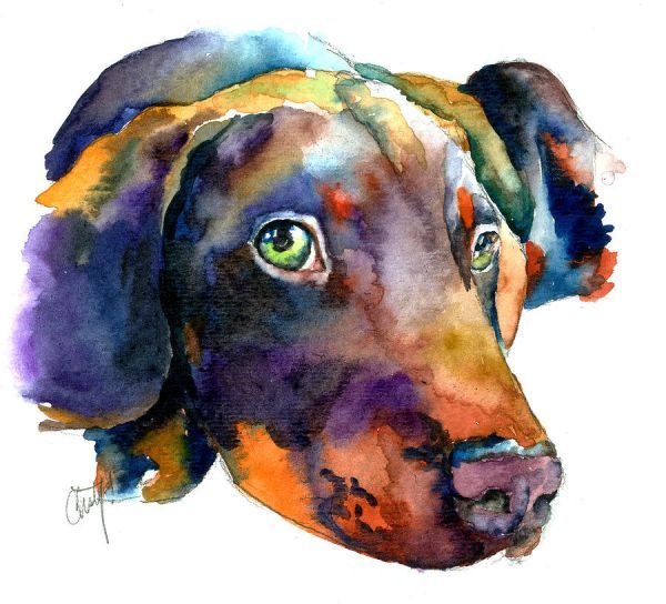 600x544 Doberman Watercolor Greeting Card For Sale By Christy Freeman - Watercolor For Sale