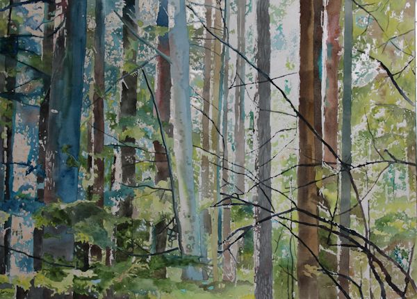 600x430 Plan Your Watercolor Paintings To Easily Paint A Complex Scene - Watercolor Forest