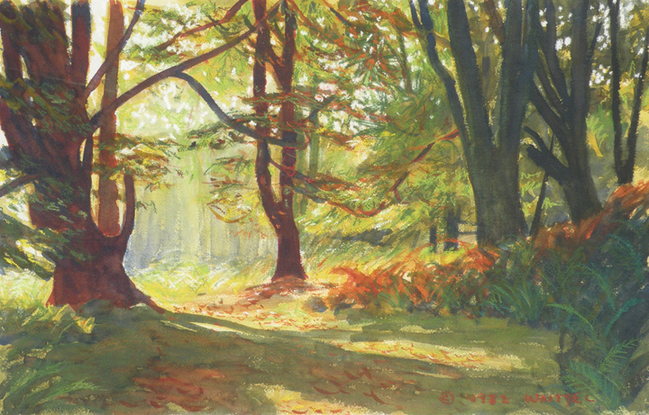 720x461 Ride Through The Forest - Watercolor Forest