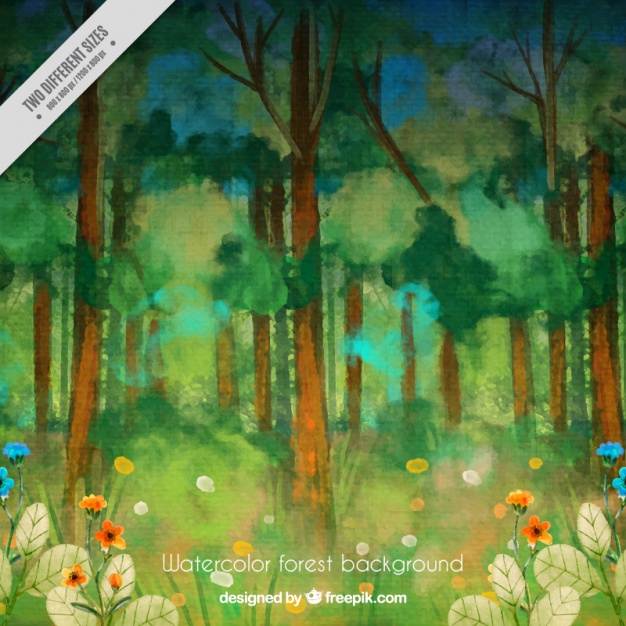 626x626 Watercolor Forest With Flowers Vector Free Download - Watercolor Forest
