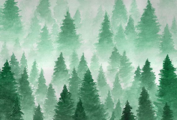 570x389 Winter Watercolor Forest Vinyl Photography Backdrop Christmas Etsy - Watercolor Forest
