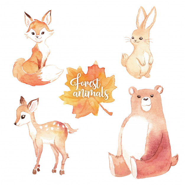 626x626 Lovely Watercolor Forest Animals Vector Free Download - Watercolor Forest Animals