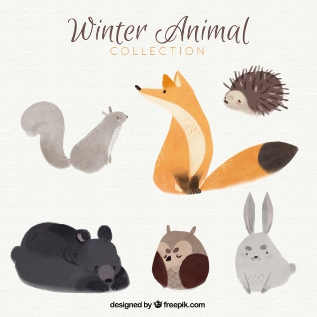 626x626 Pretty Fox With Other Watercolor Forest Animals Free Vector - Watercolor Forest Animals