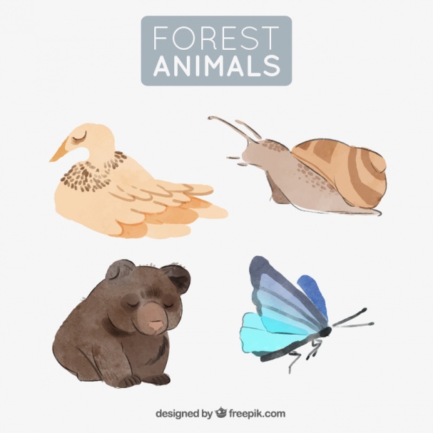 626x626 Set Of Watercolor Forest Animals Vector Free Download - Watercolor Forest Animals