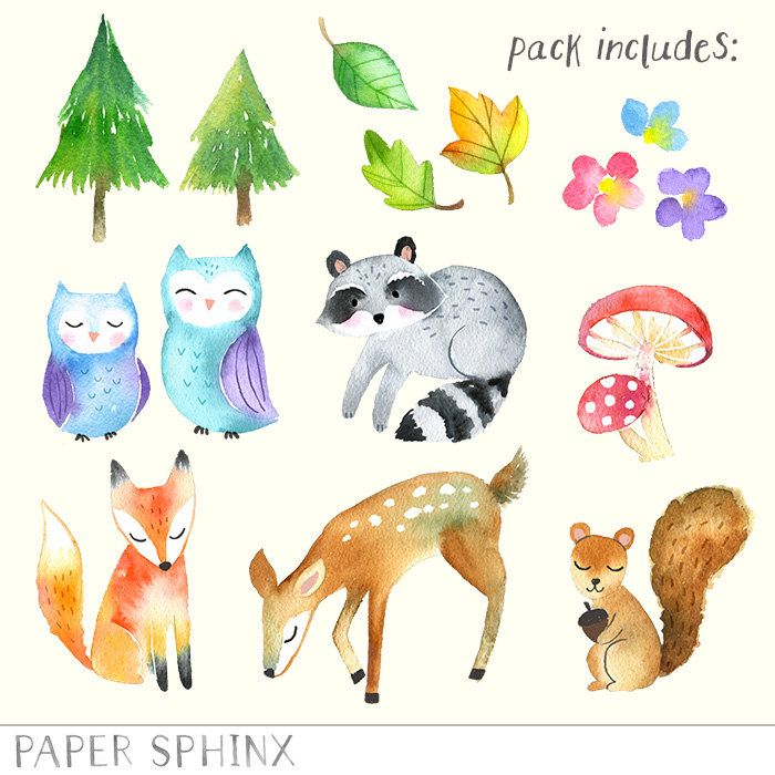 Watercolor Forest Animals at PaintingValley.com | Explore collection of ...