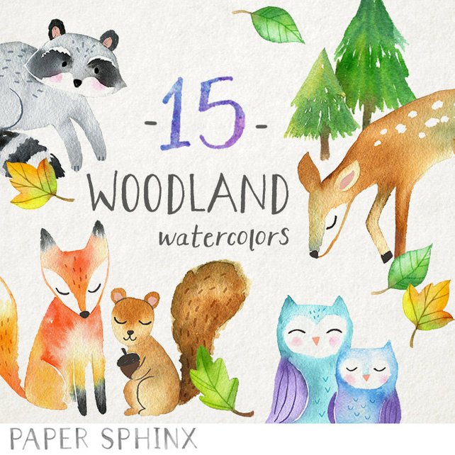 642x642 Watercolor Woodland Animals Clipart Forest Animals Clip Art Etsy - Watercolor Forest Animals
