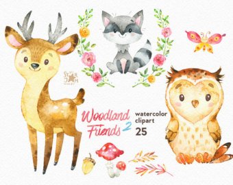 340x270 Watercolor Animals Etsy - Watercolor Forest Animals