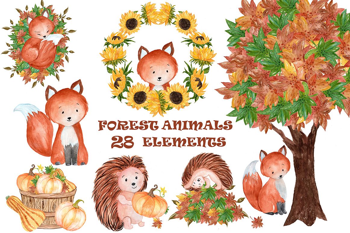 1162x774 Watercolor Forest Animals Clipart - Watercolor Forest Animals