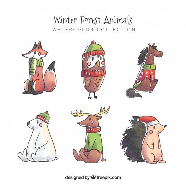 626x626 Watercolor Forest Animals Set Stock Images - Watercolor Forest Animals