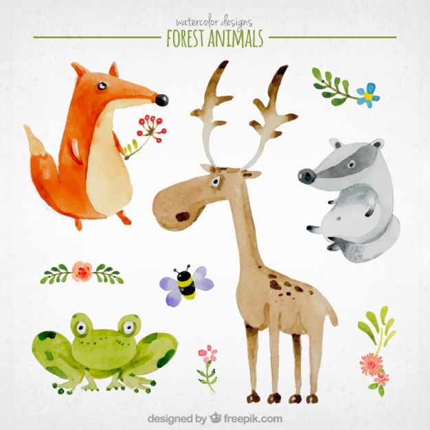 626x626 Watercolor Nice Forest Animals Vector Free Download - Watercolor Forest Animals