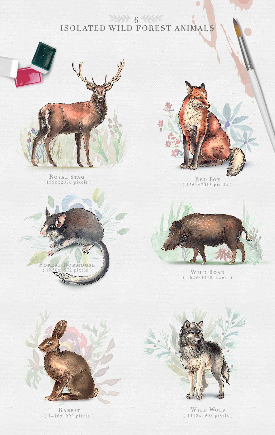 1160x1831 Wild Forest Watercolor Collection In Illustrations On Yellow - Watercolor Forest Animals