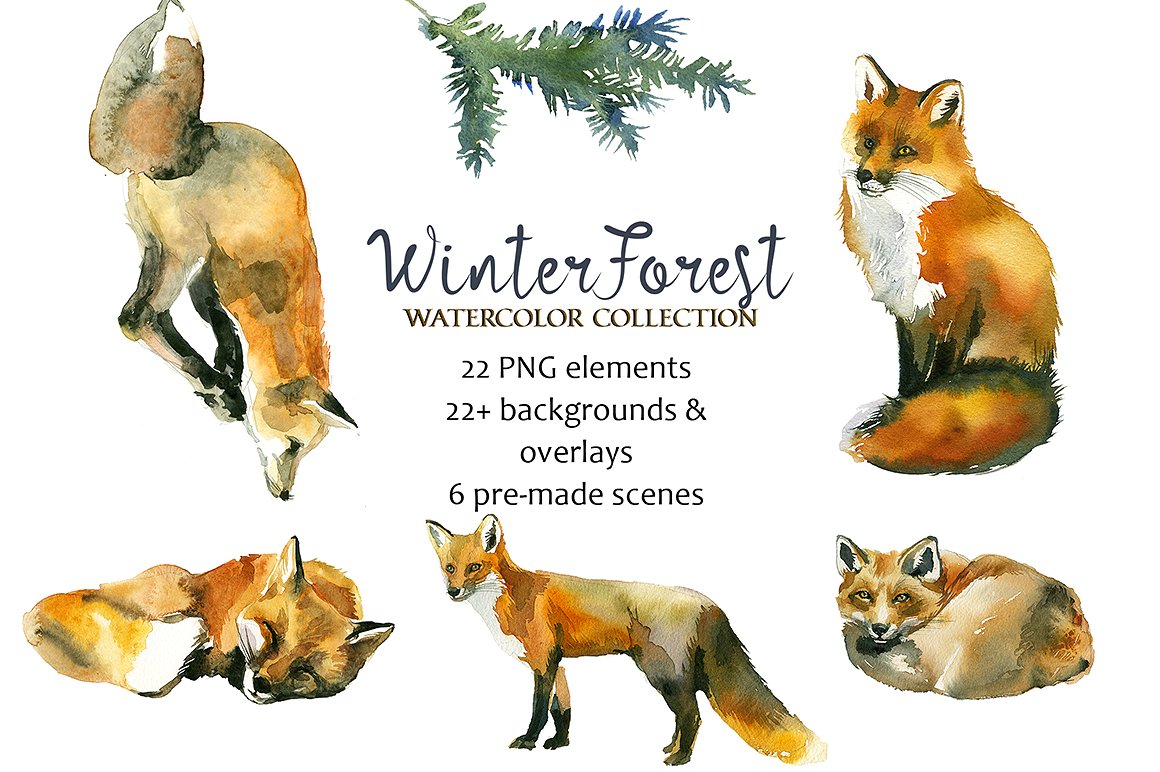 1160x772 Winter Forest Watercolor Clipart - Watercolor Forest Animals