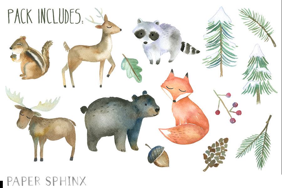 900x599 Winter Woodland Animals Clipart Watercolor Forest Animals - Watercolor Forest Animals