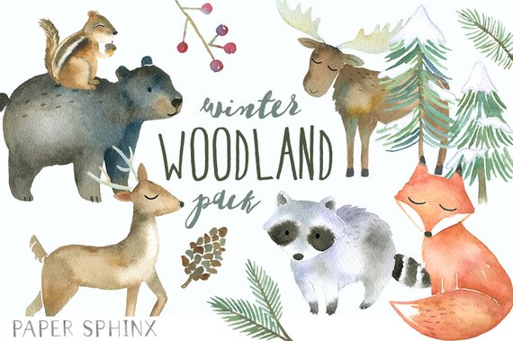 570x379 Winter Woodland Animals Clipart Watercolor Forest Animals Etsy - Watercolor Forest Animals