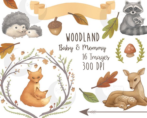 570x456 Woodland Clipart Mommy Amp Baby Forest Animals Cute Nature Etsy - Watercolor Forest Animals
