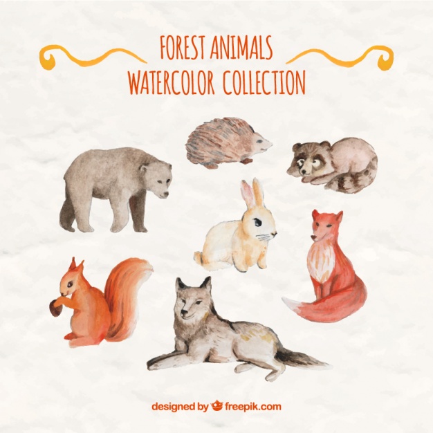 626x626 Beautiful Watercolor Forest Animals Vector Free Download - Watercolor Forest Animals