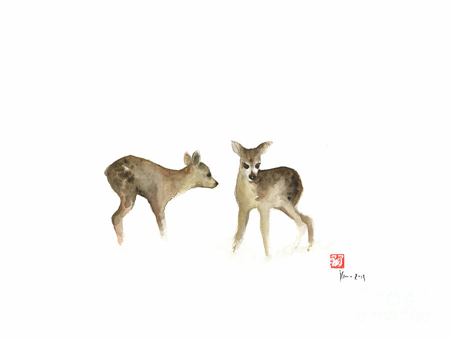 900x679 Deer Nature Brown Colors Earth Animal Animals Pet Pets Forest Wild - Watercolor Forest Animals