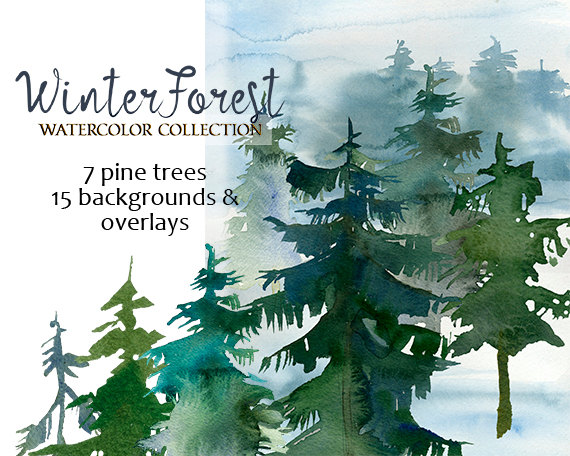 570x456 Pine Trees Watercolor Clipart Fur Trees Png Christmas Winter - Watercolor Forest Landscape