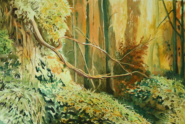 640x428 Rich Williams Artwork Gylangu Forest Original Watercolor - Watercolor Forest Landscape