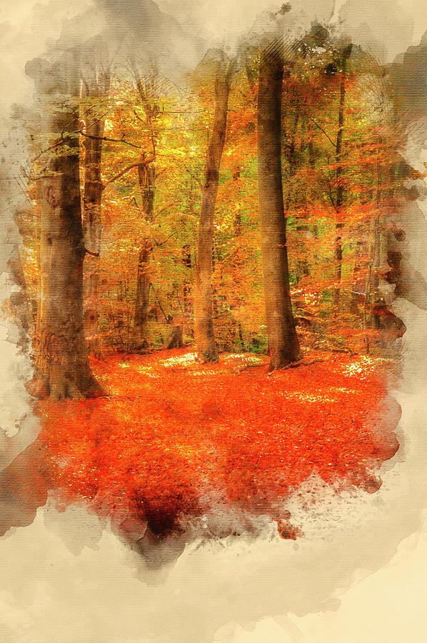 598x900 Watercolor Painting Of Vibrant Autumn Fall Forest Landscape Imag - Watercolor Forest Landscape